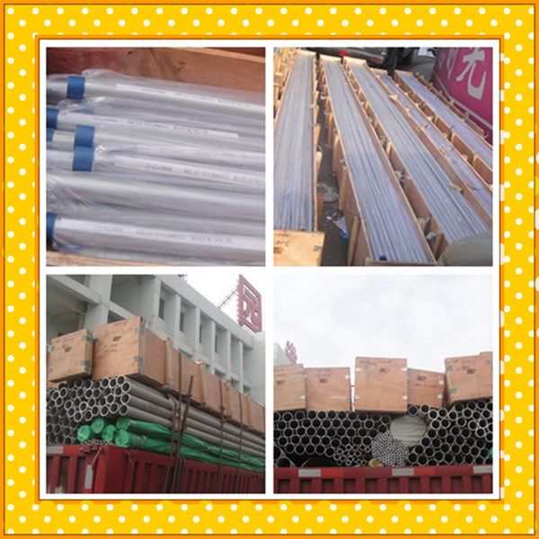  Stainless Steel Welded Tube/Stainless Steel Welded Pipe 